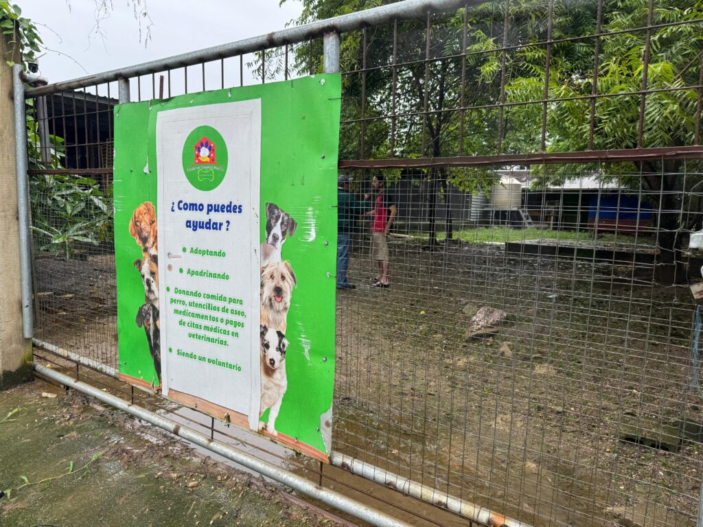 Entre Colas y Patitas necesitan alimento para los perritos y gatitos refugiados