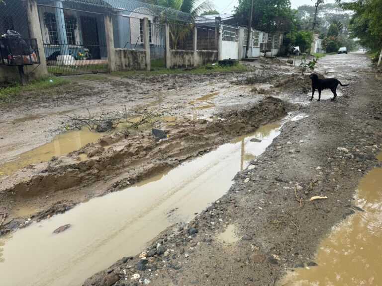 Calle de la Col. aurora en pésimo estado